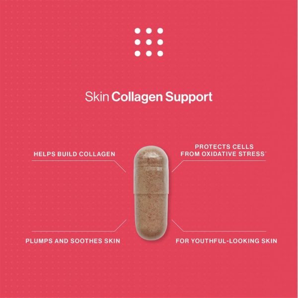 Advanced Nutrition Programme™ Skin Collagen Support x 60 Capsules - Image 3