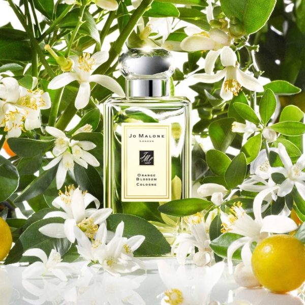 Jo Malone London Orange Blossom Cologne 100ml - Image 4