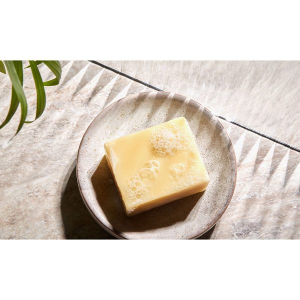 Christophe Robin Hydrating Shampoo Bar With Aloe Vera 110ml - Image 2