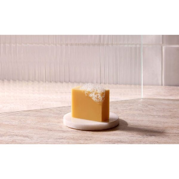 Christophe Robin Hydrating Shampoo Bar With Aloe Vera 110ml - Image 3