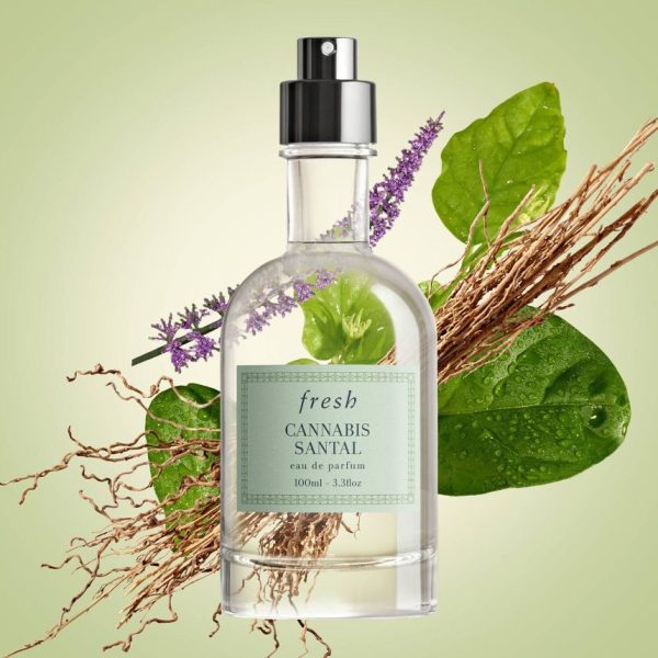 FRESH Cannabis Santal Eau De Parfum 30ml - Image 3