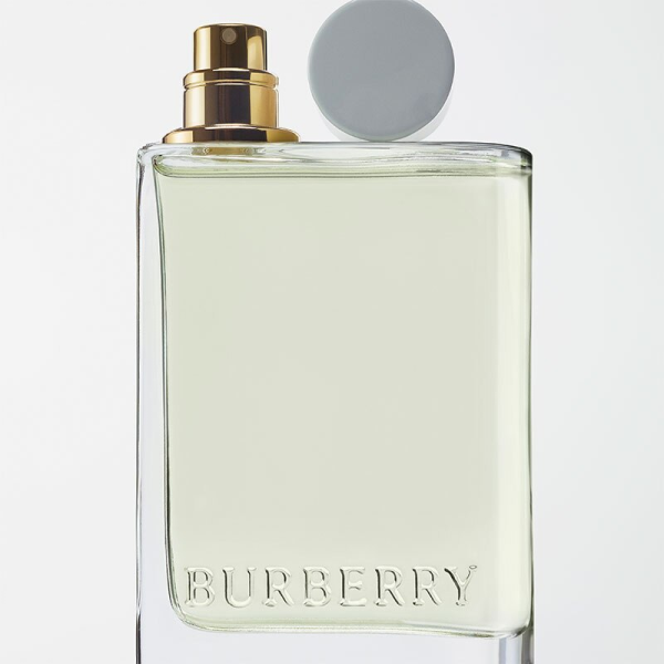 BURBERRY Her Eau de Toilette 100ml - Image 5